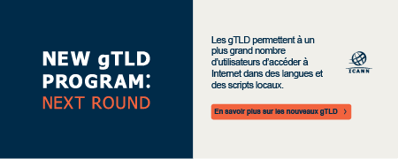Les gTLD permettent à un plus grand nombre d’utilisateurs d’accéder à Internet dans des langues et des scripts locaux.